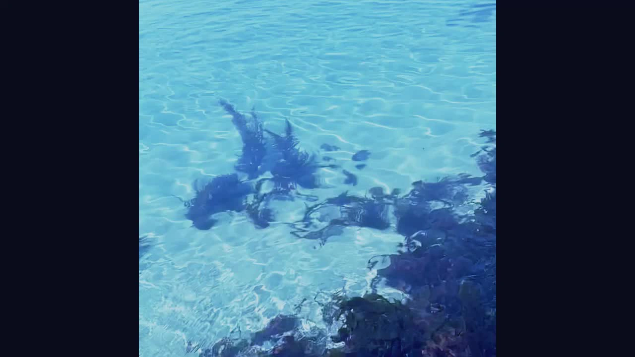 日和山浜海水浴場の写真