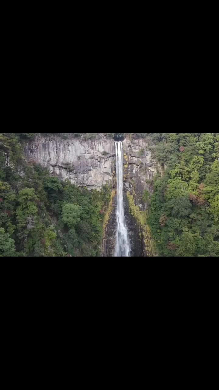 那智の滝の写真