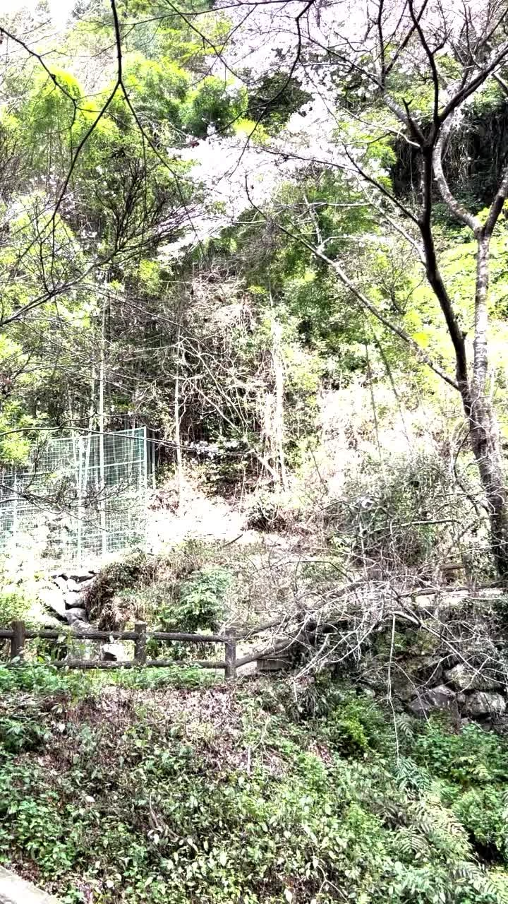 調音の滝公園の写真