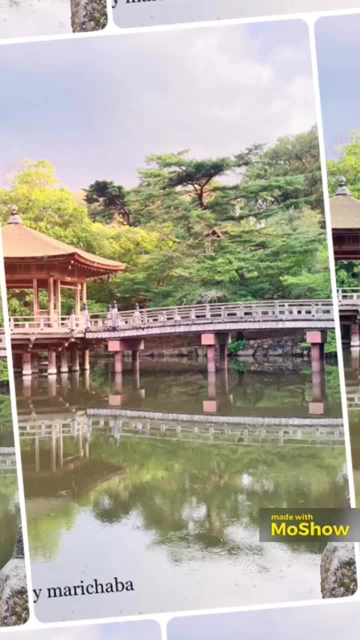 奈良公園の写真