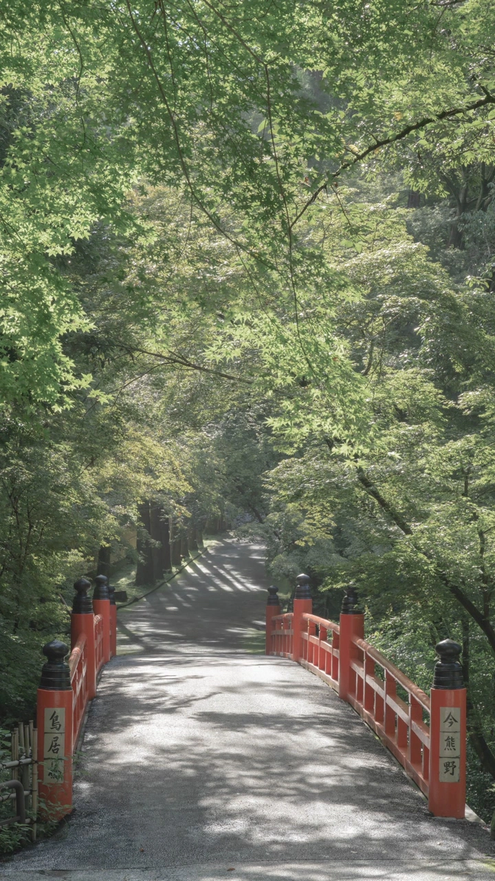 今熊野 観音寺の写真