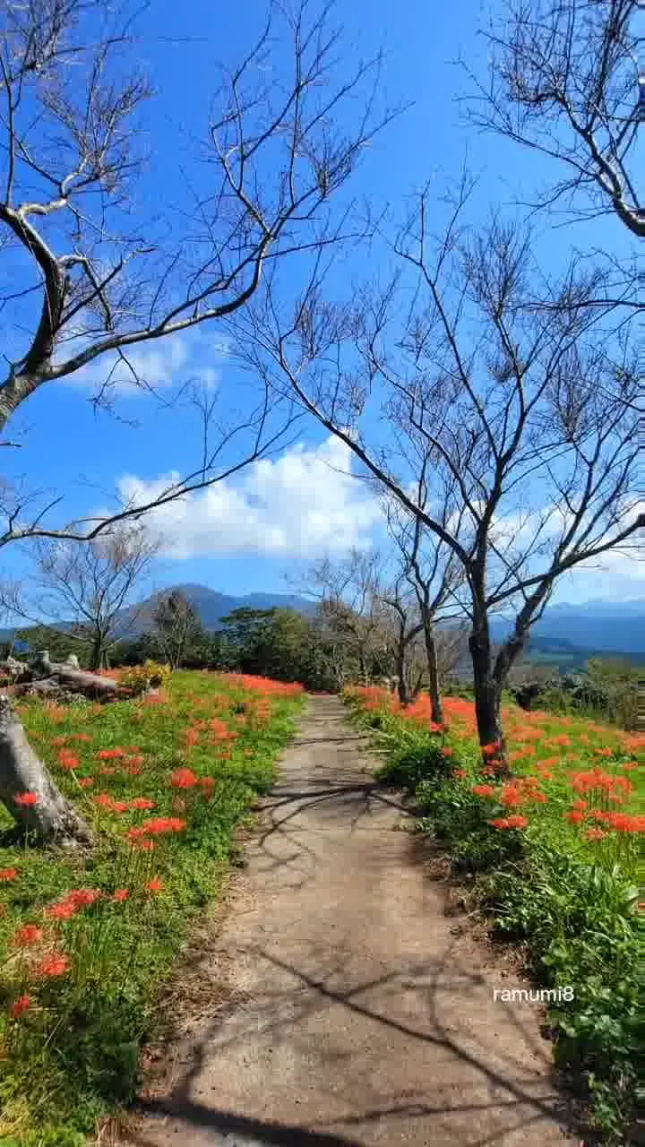 鉢巻山展望所の写真