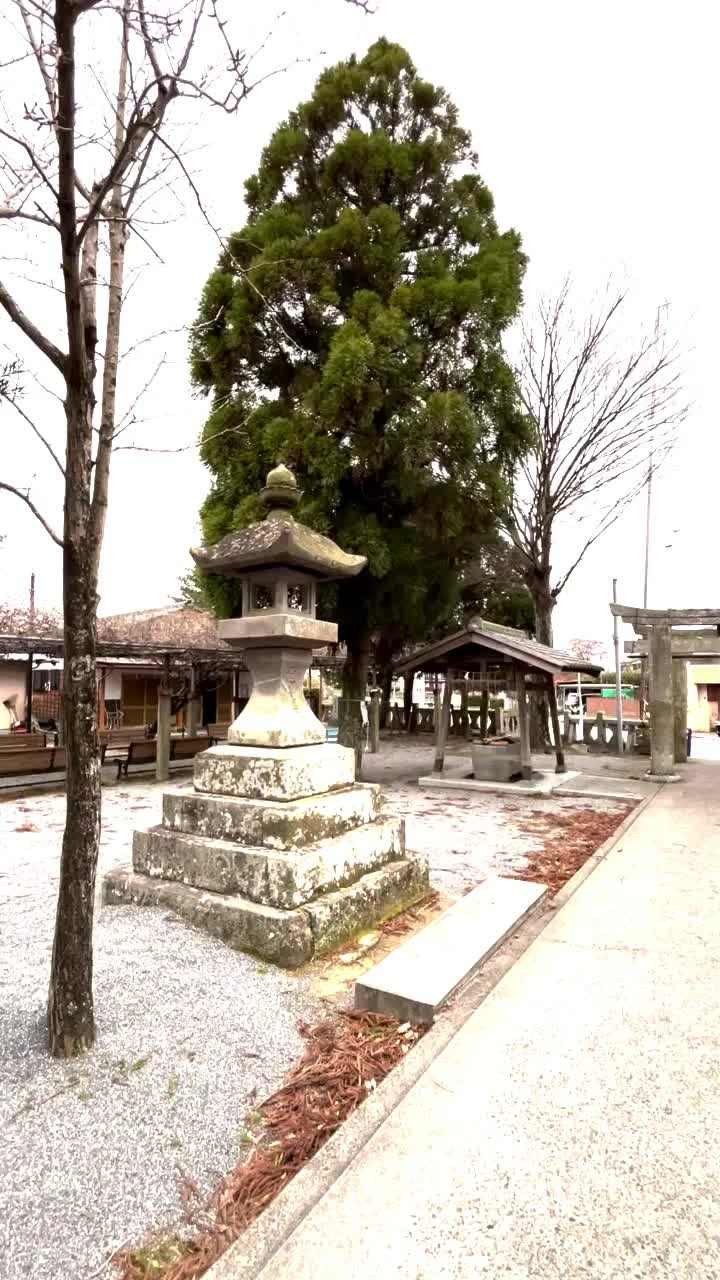 七夕神社(媛社神社)の写真