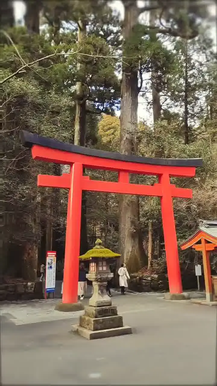 箱根神社の写真
