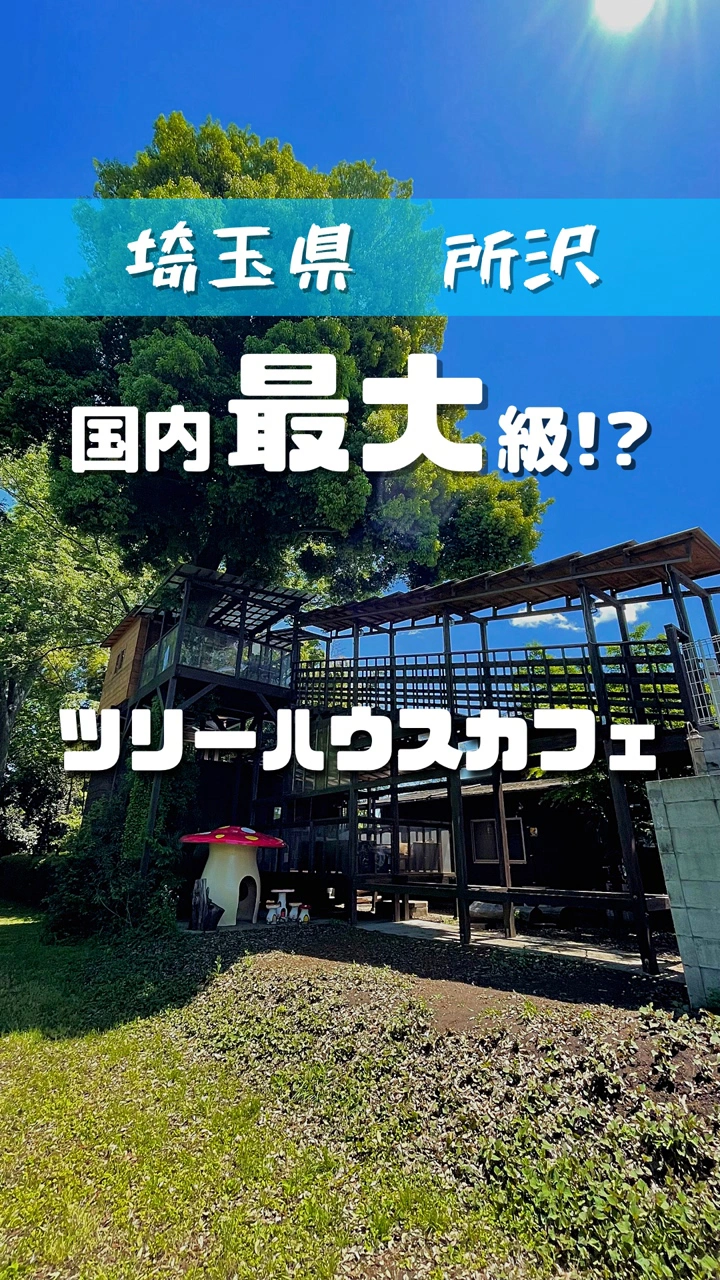 ツリーハウスカフェ nicoricoの写真