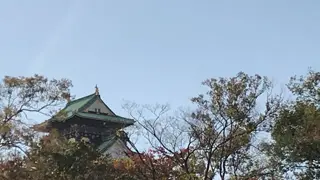 大阪城の写真