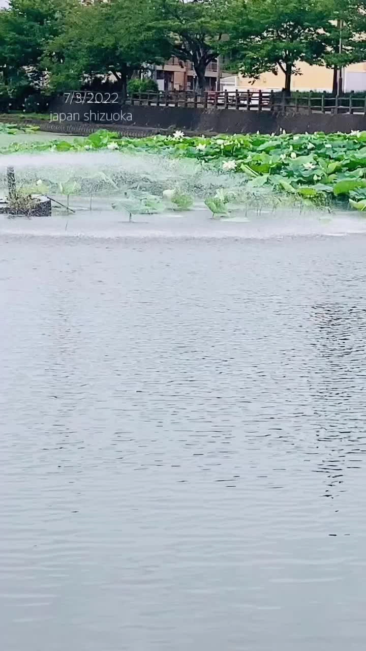 小鹿公園の写真