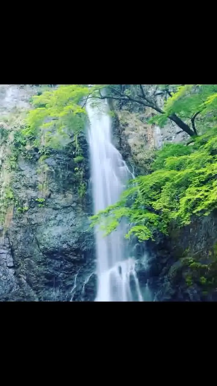 箕面大滝の写真