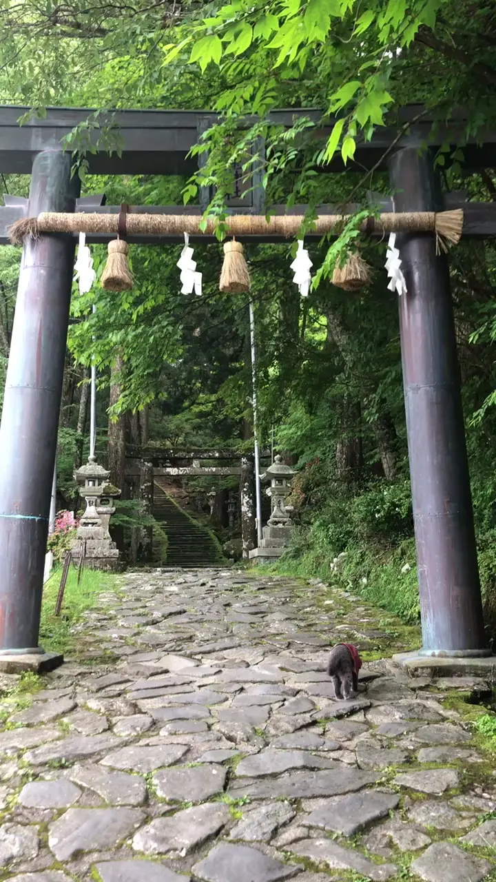 高澄神社の写真