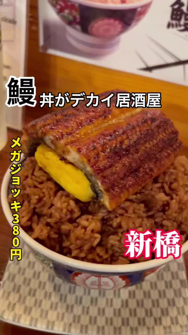 新橋うっちゃりの写真