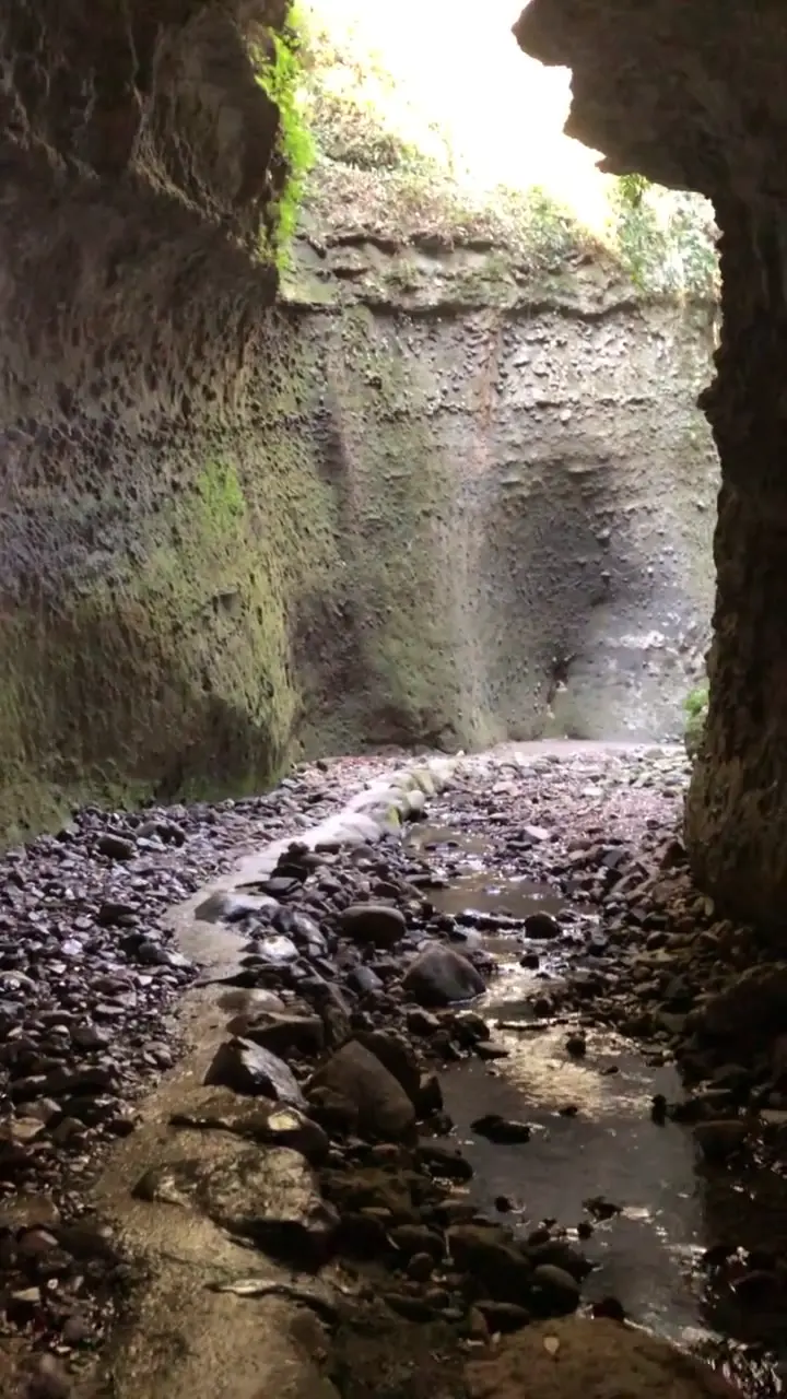 伊尾木洞の写真