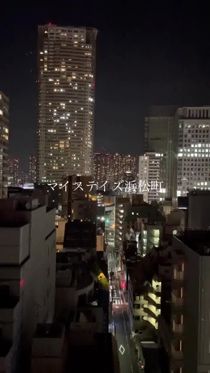 ホテルマイステイズ浜松町の写真