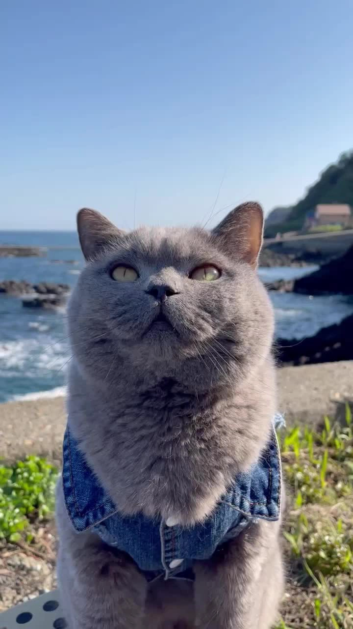 塩俵岩の写真