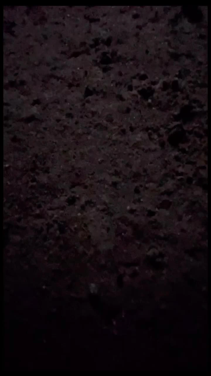 五ノ口洞窟の写真