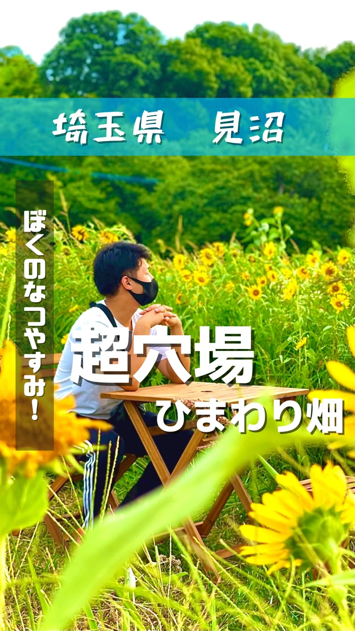 ひまわり迷路体験会場の写真