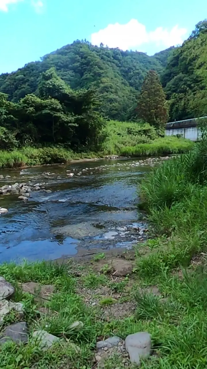 Hayasenoippon Bridgeの写真