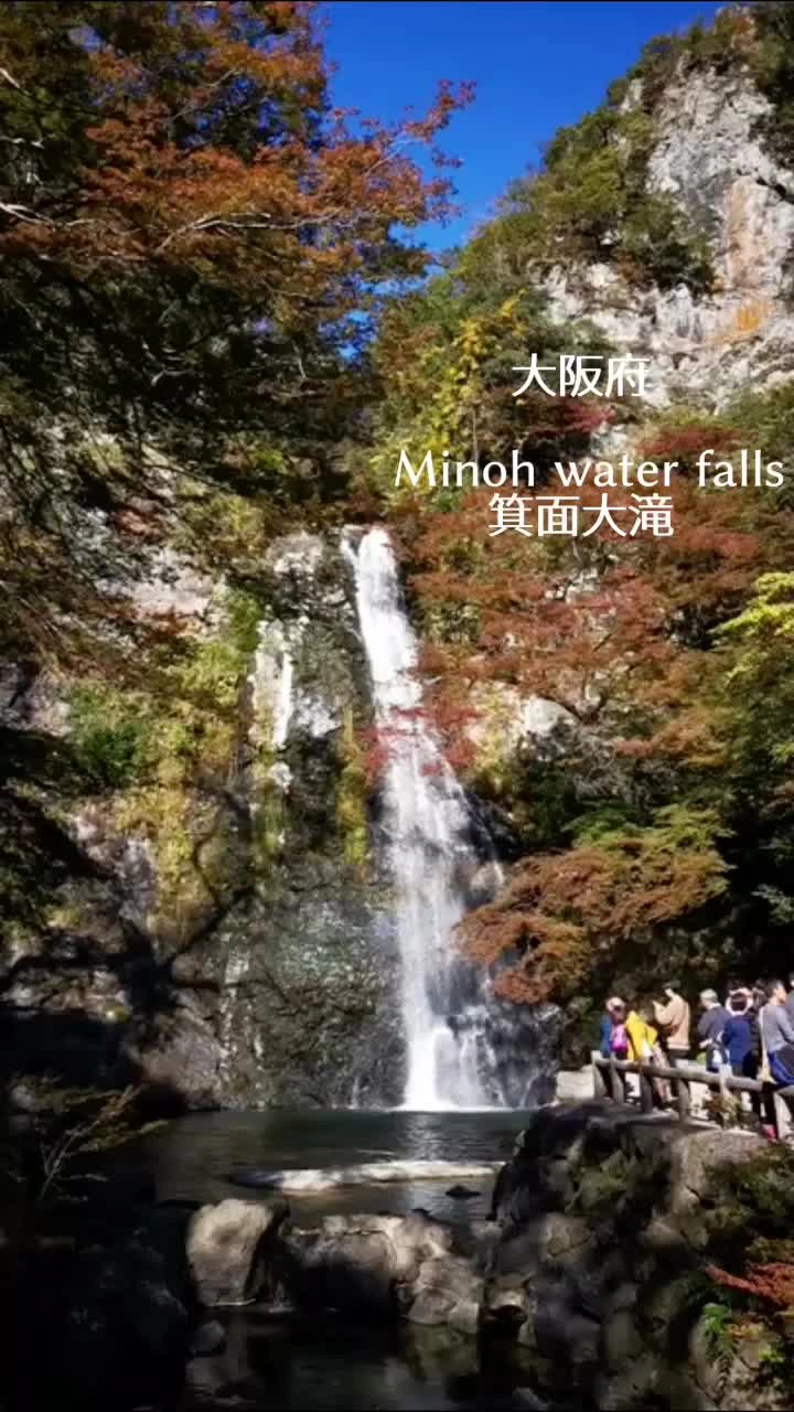 箕面大滝の写真