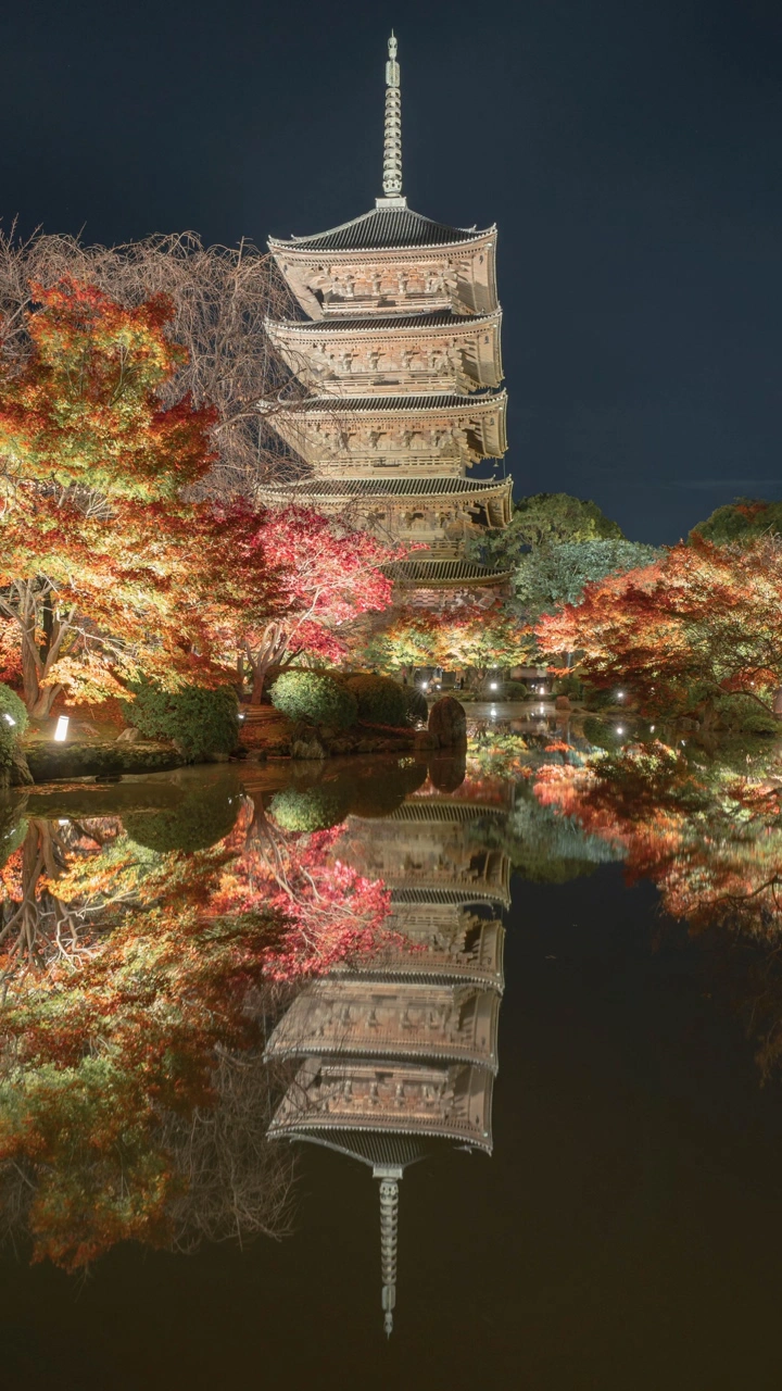 東寺の写真