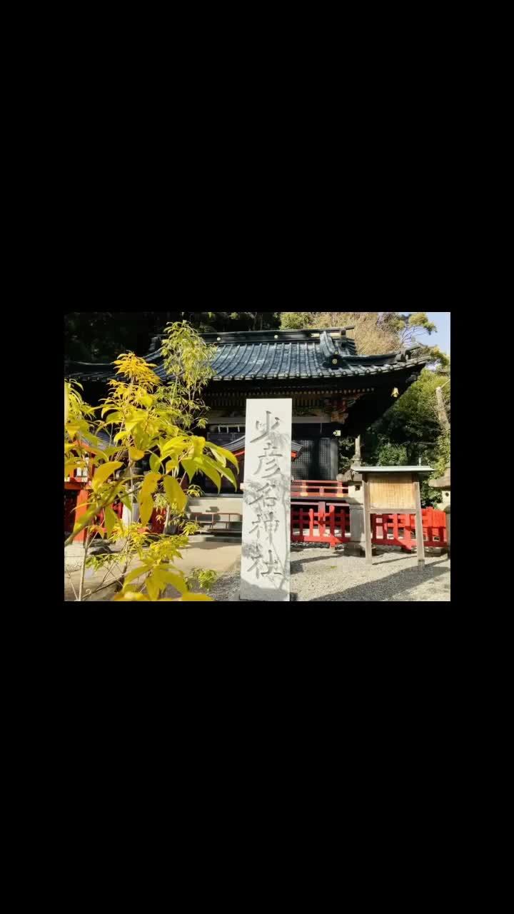 少彦名神社本殿(国指定重要文化財)の写真