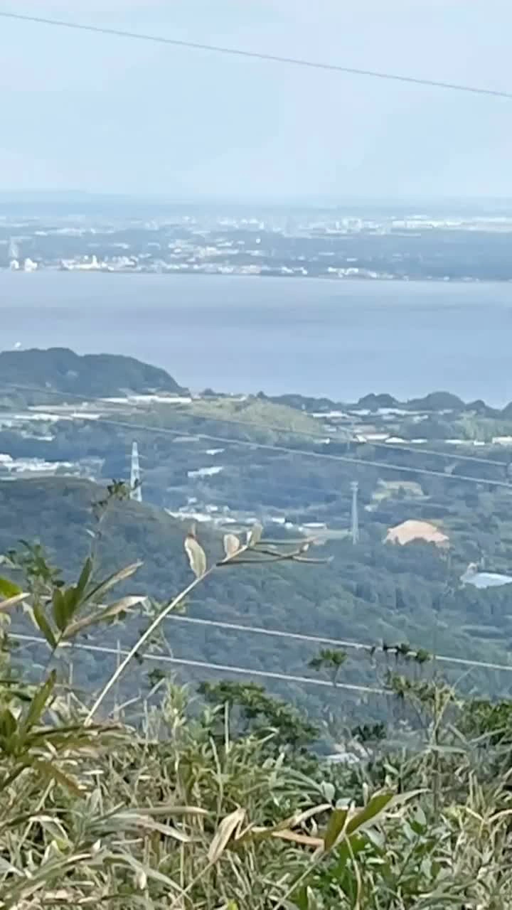 衣笠山の写真