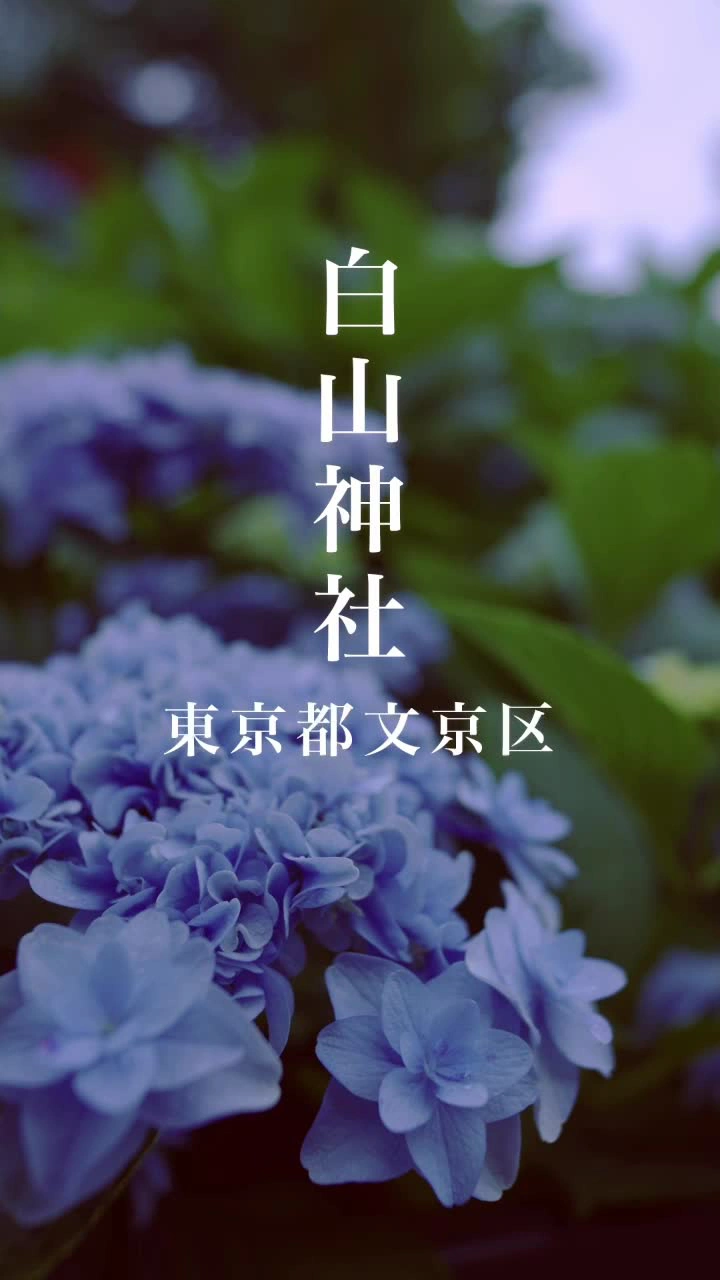 白山神社の写真
