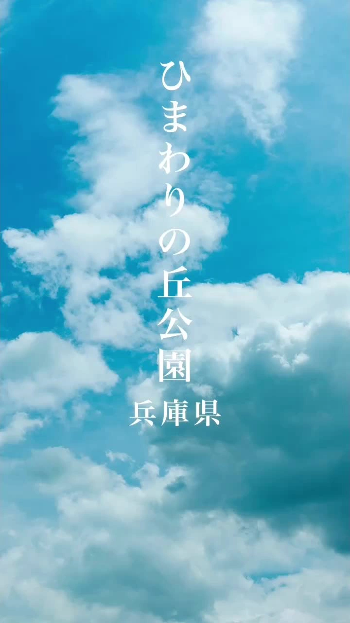 ひまわりの丘公園の写真