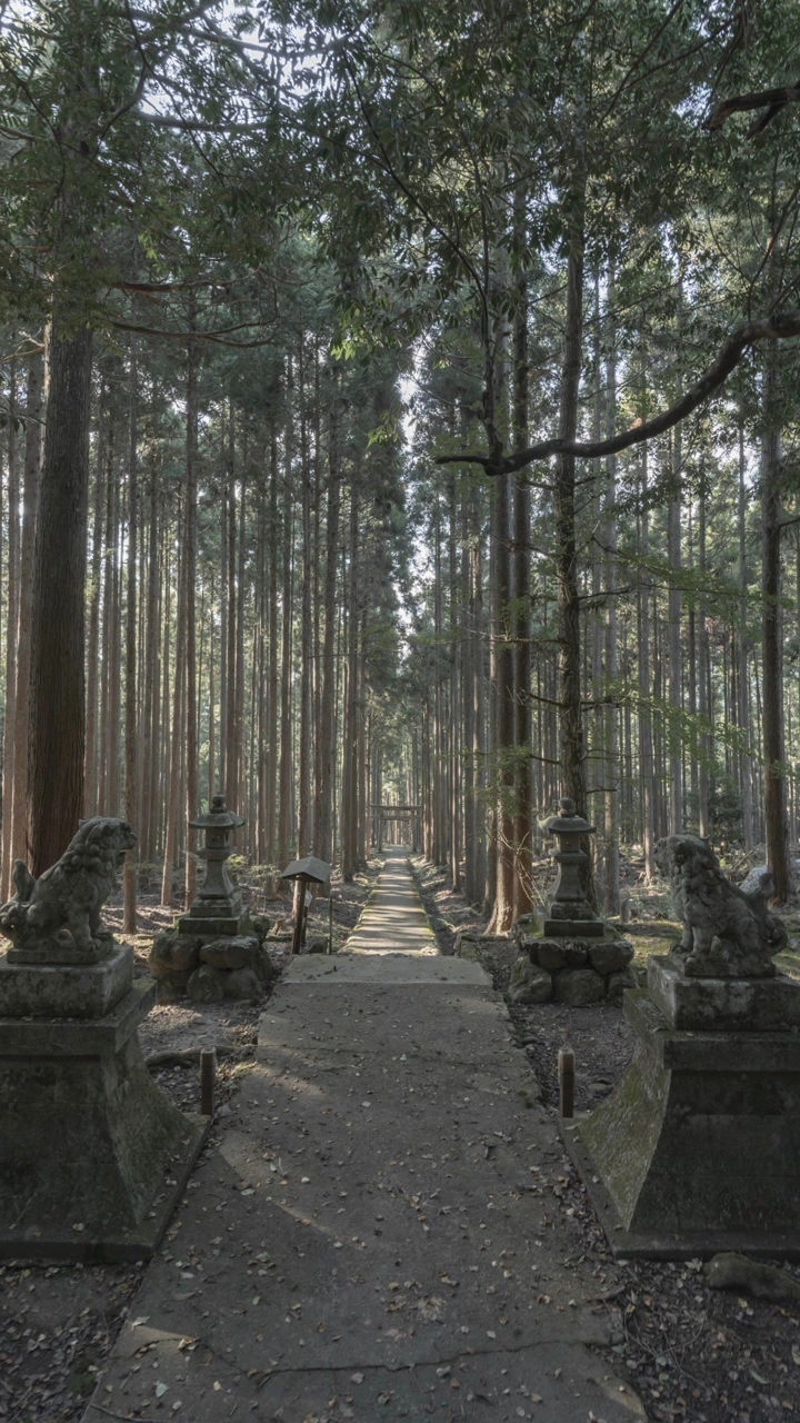賀茂神社の写真