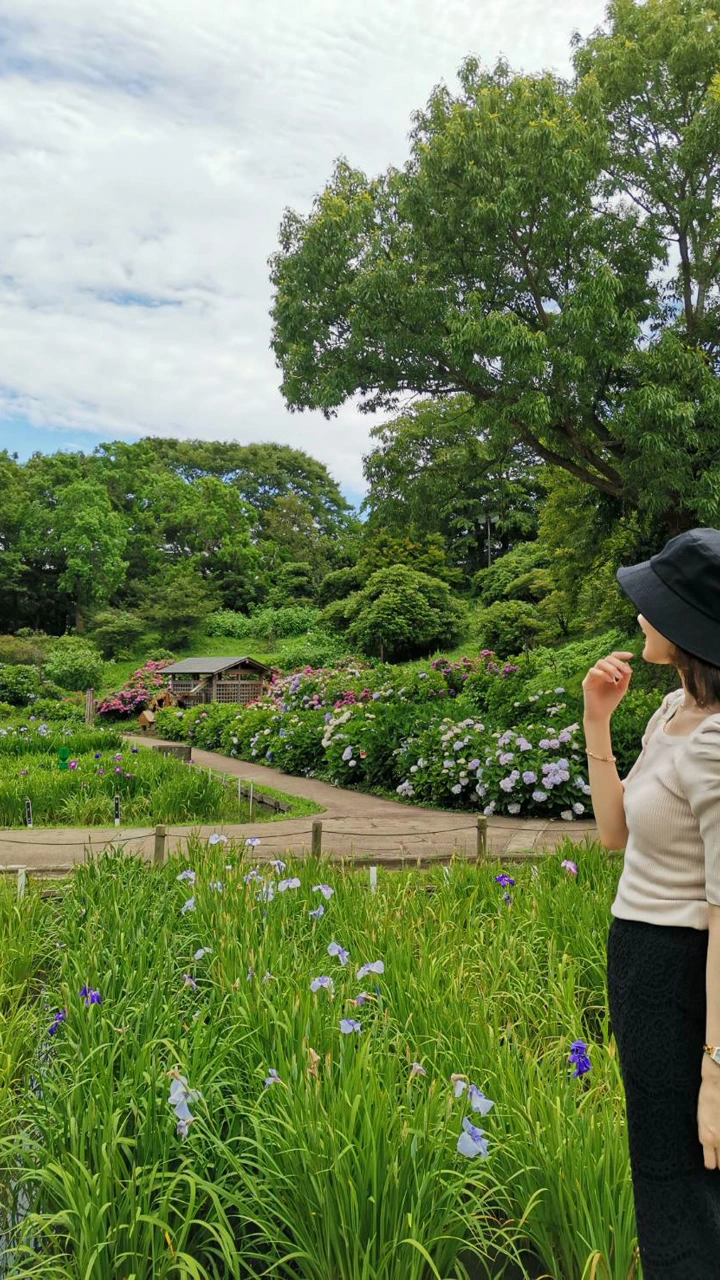 横須賀しょうぶ園の写真