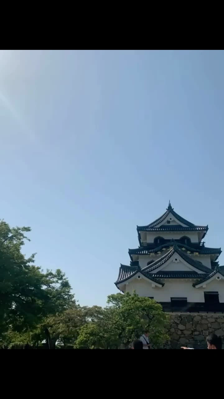 彦根城の写真