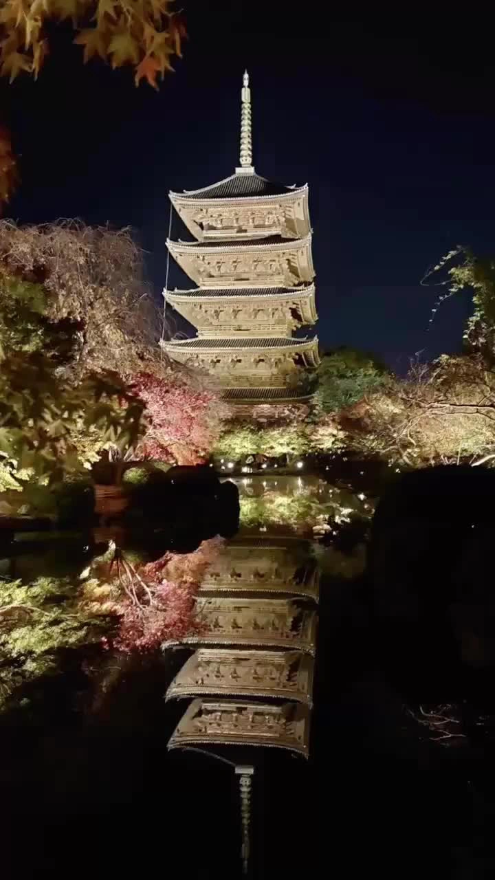 東寺の写真