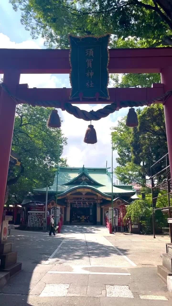 須賀神社男坂の写真