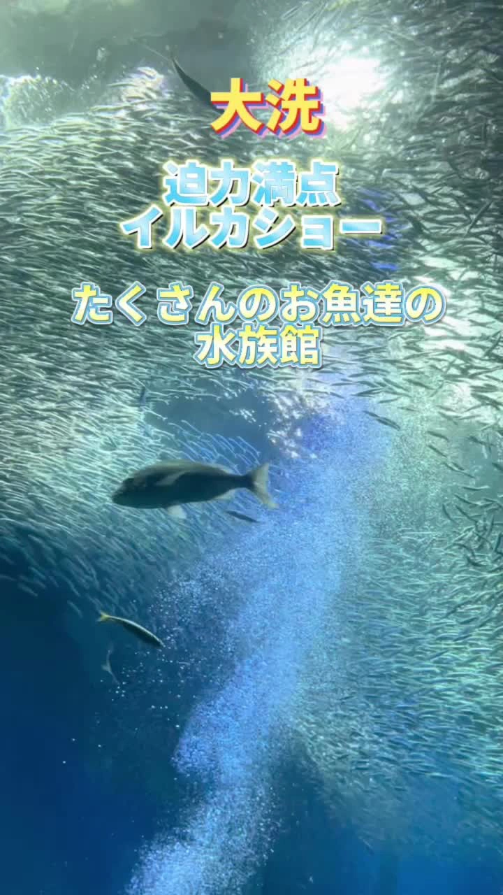 アクアワールド茨城県大洗水族館の写真