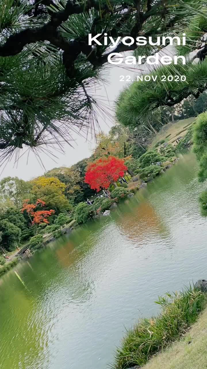 清澄庭園の写真
