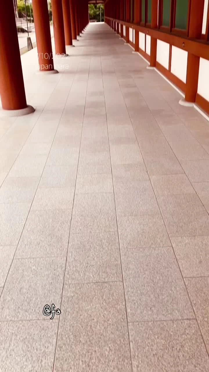 薬師寺の写真