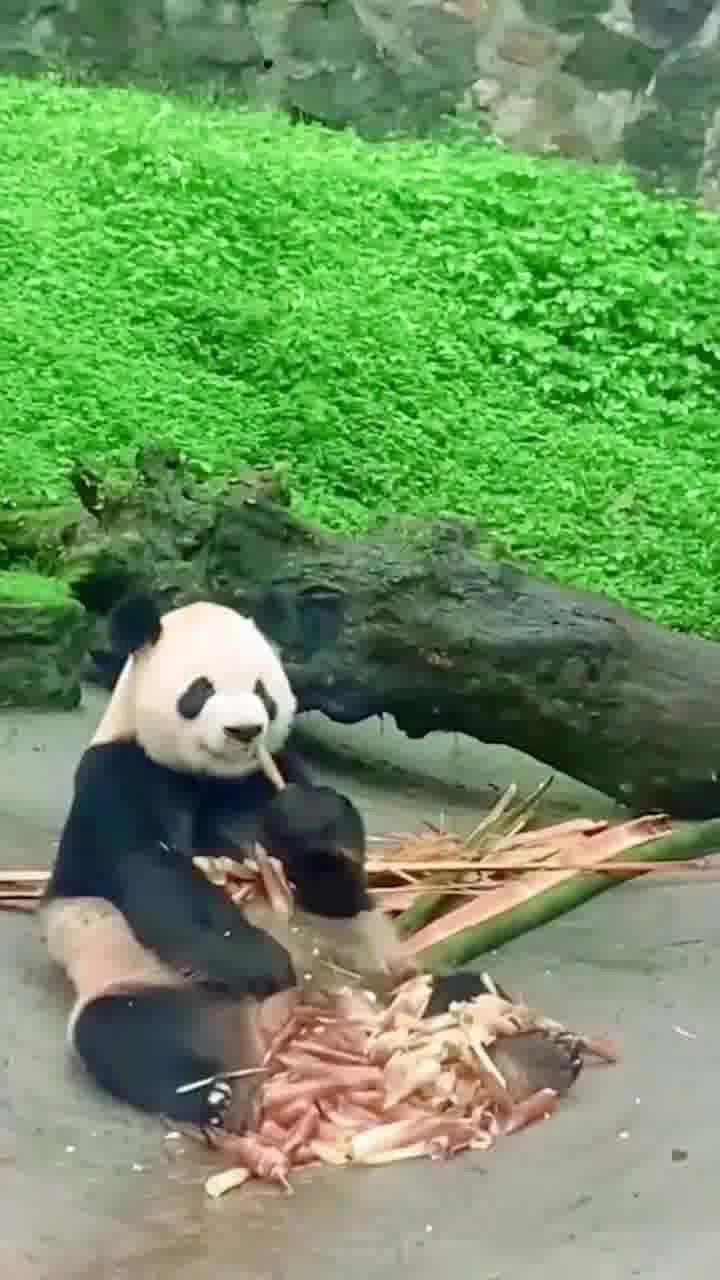 南京の写真