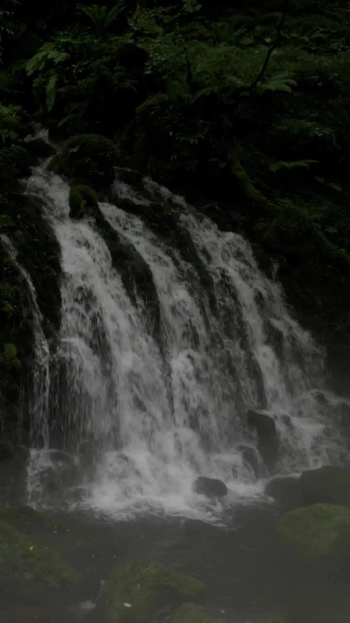 元滝伏流水の写真