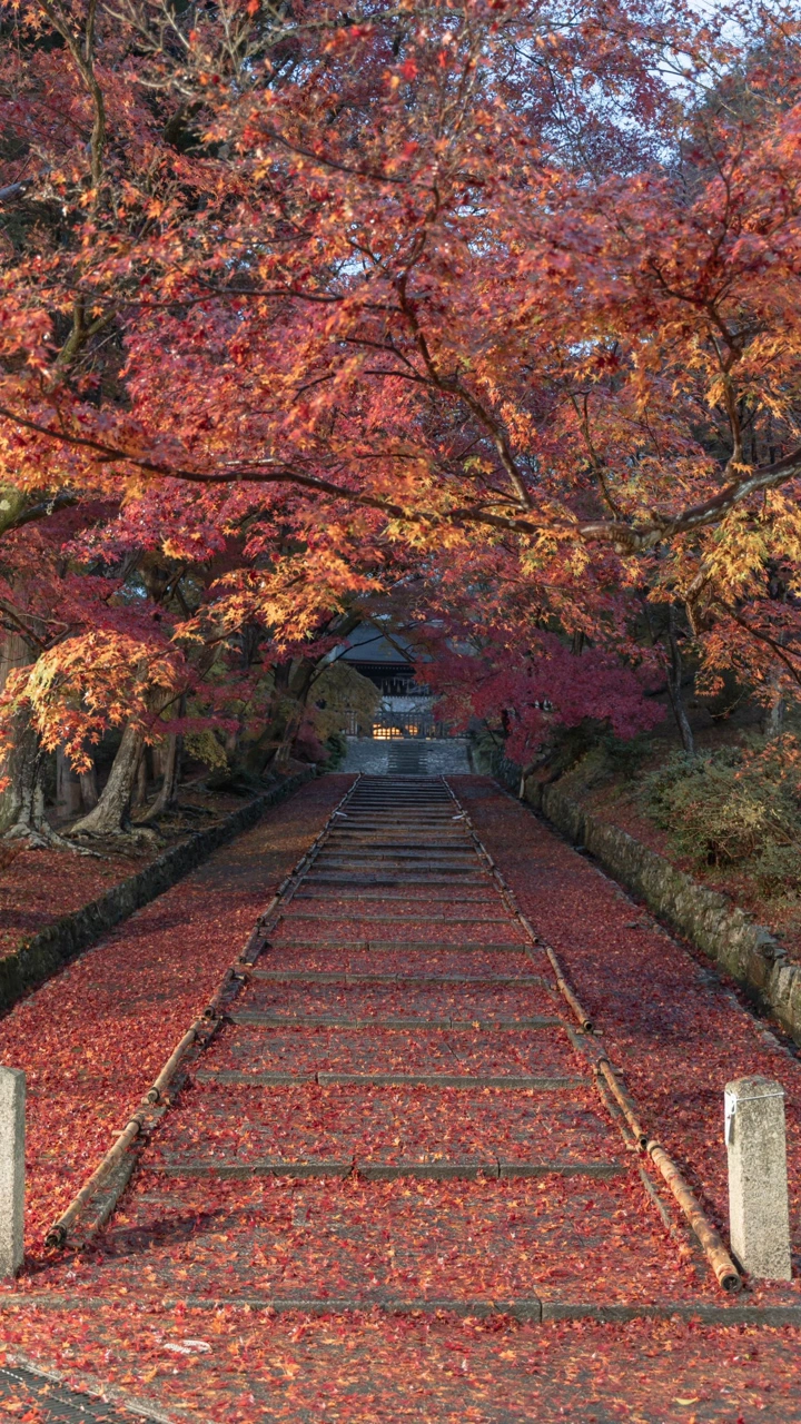 毘沙門堂の写真