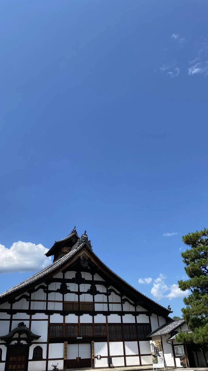 京都市京セラ美術館の写真