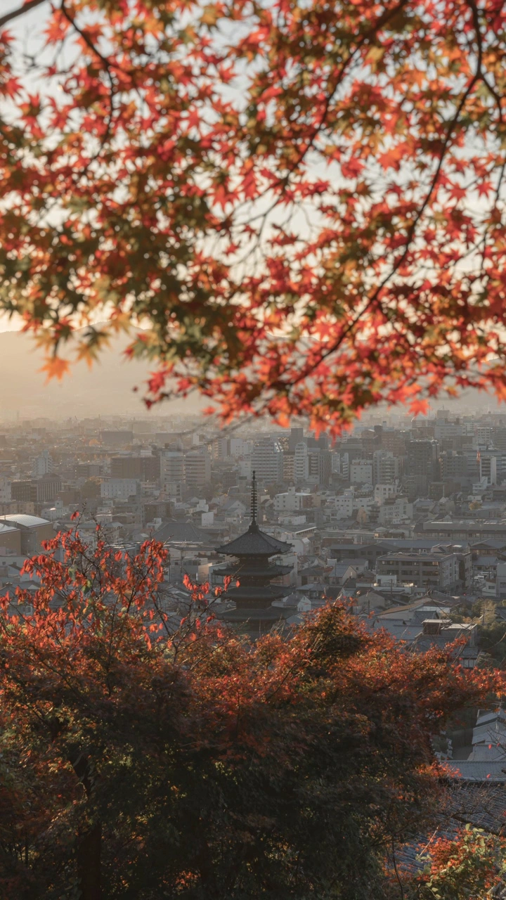 京都霊山護國神社の写真