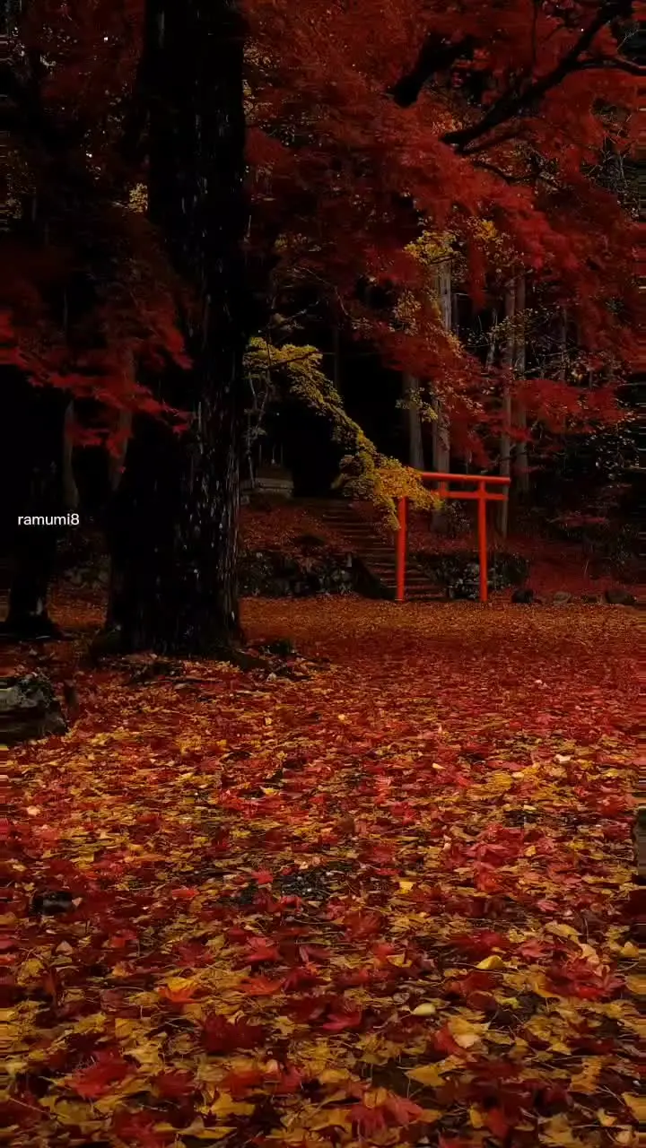 洞光寺の写真