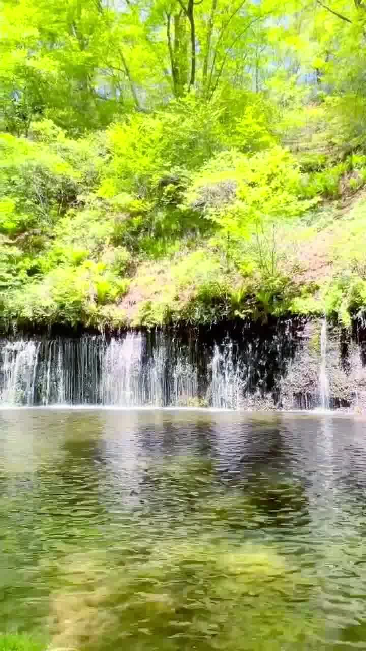 白糸の滝の写真