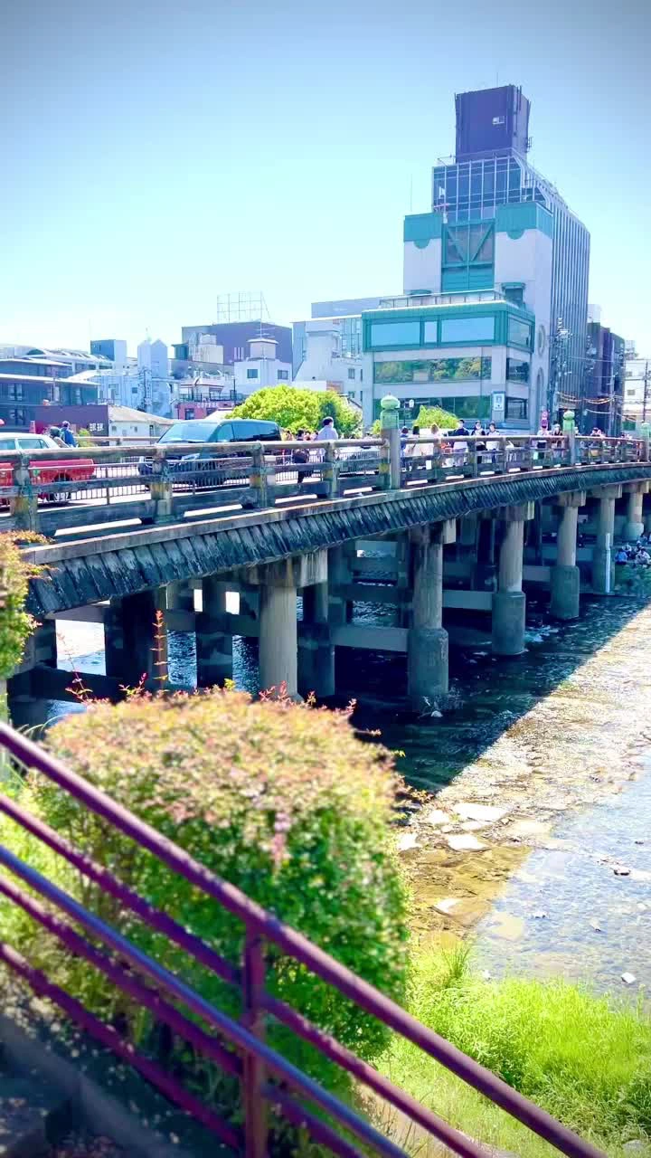 三条大橋の写真