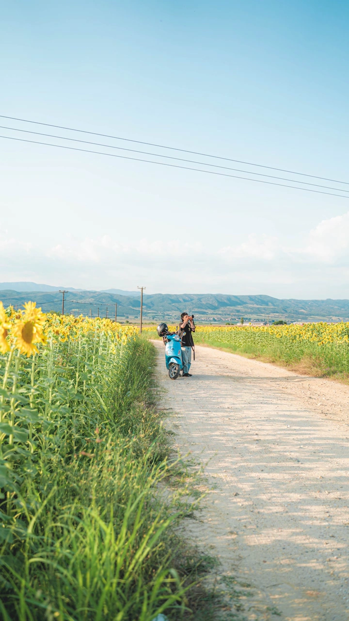 ギリシャの写真