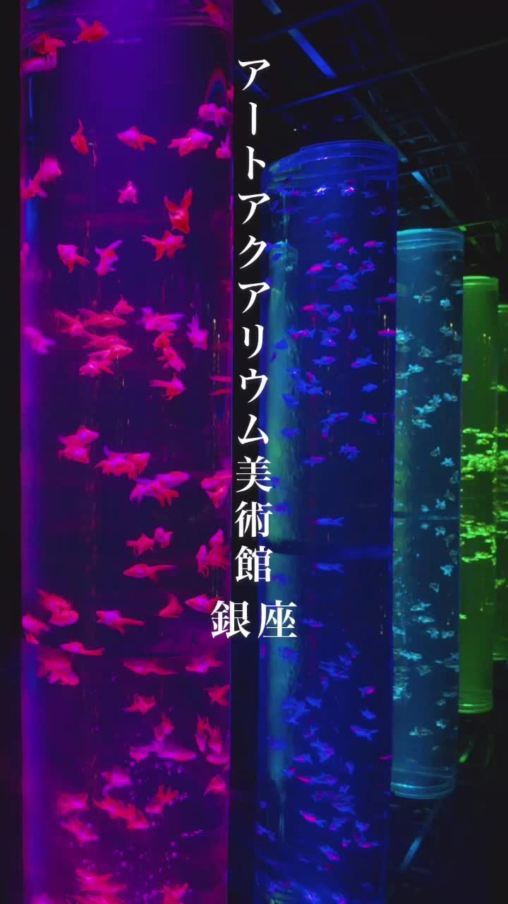 アートアクアリウム美術館の写真