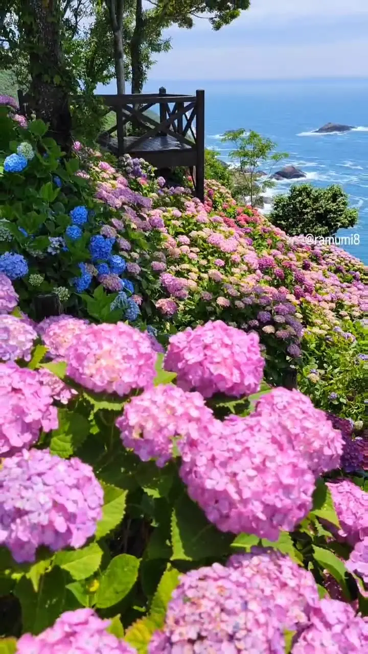 桃源郷岬の写真