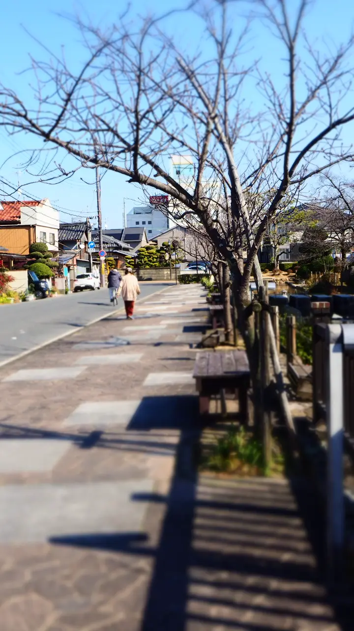 今井町の写真