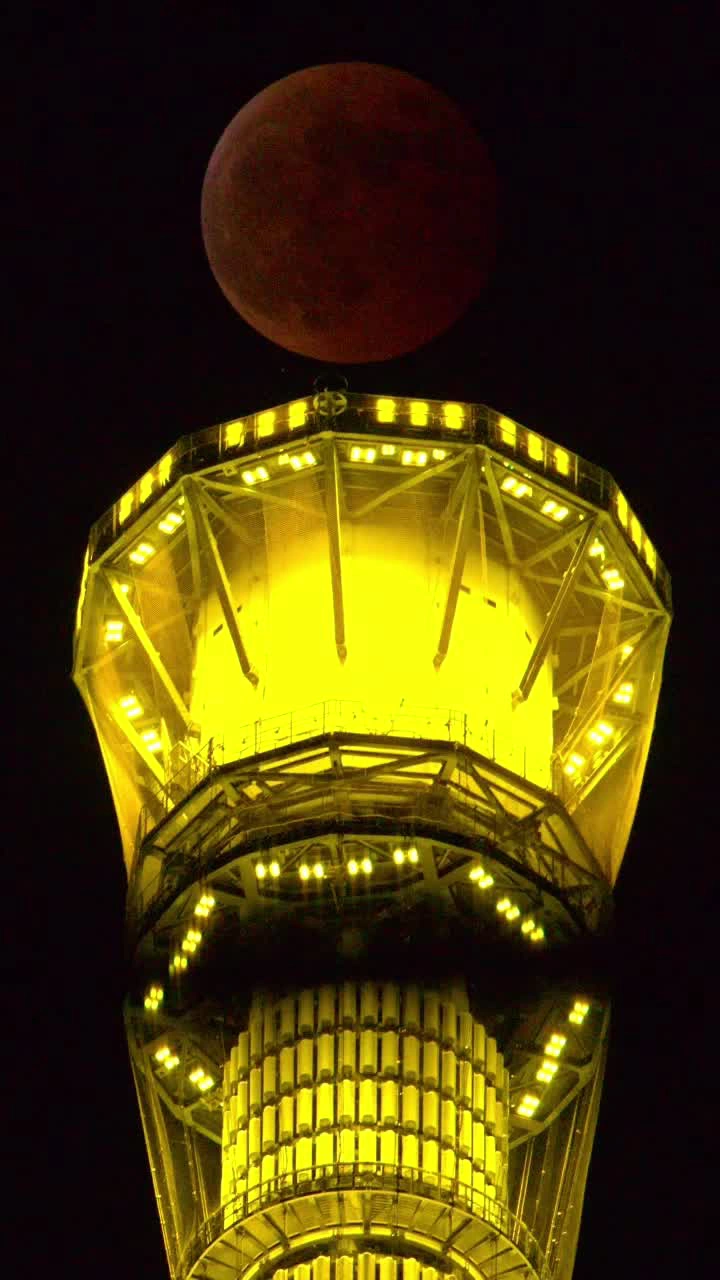 東京スカイツリーの写真