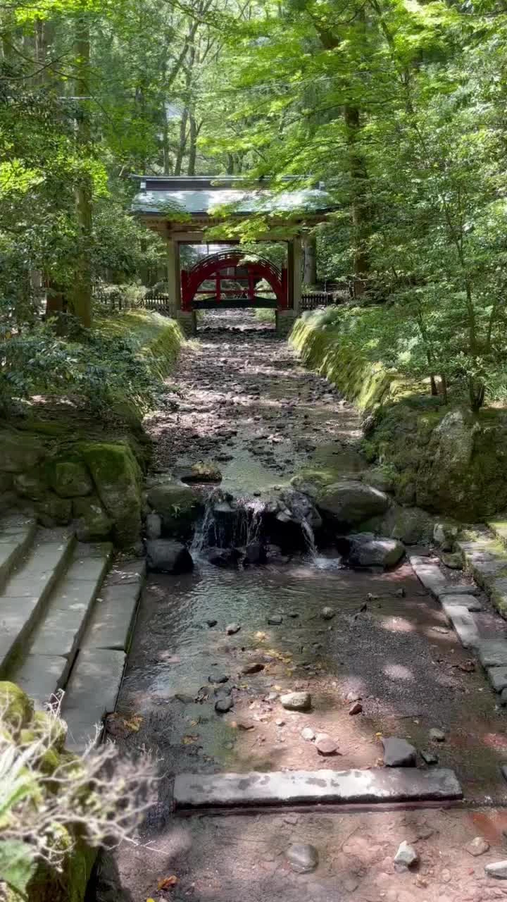 彌彦神社の写真